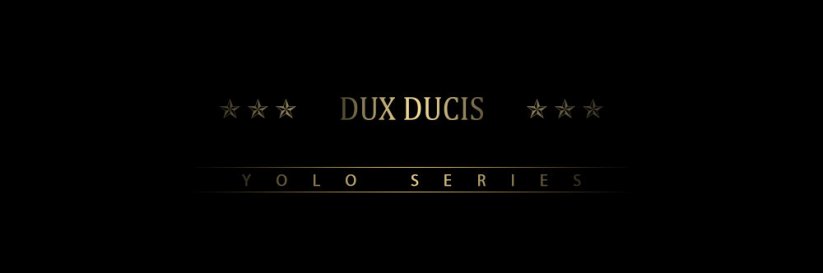DUX DUCIS Yolo Series Silikonový kryt s koženými zády pro iPhone 12 Mini, červený